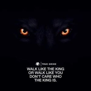 Meet your Posher, Devon